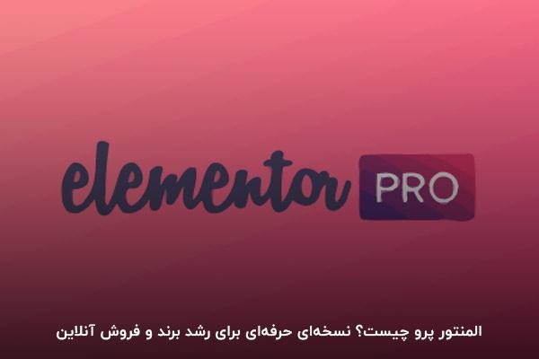 المنتور پرو برای وردپرس