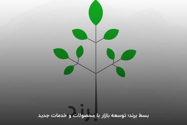 بسط یا تعمیم برند چیست